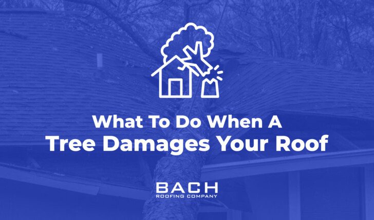 What to Do When a Tree Damages Your Roof